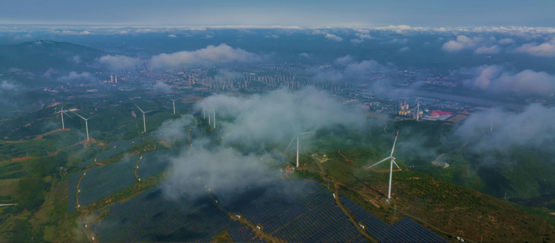 w66(中国区)最老牌官方网站